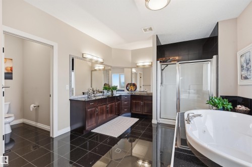 831 Hollands Landing Nw, Edmonton, AB - Indoor Photo Showing Bathroom