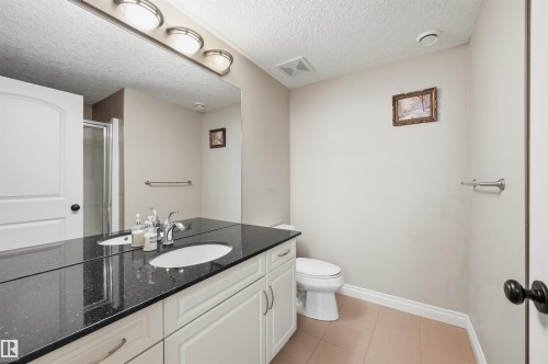 831 Hollands Landing Nw, Edmonton, AB - Indoor Photo Showing Bathroom