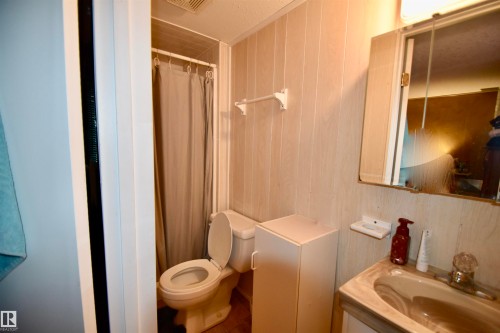 4629 47 Avenue, St. Paul Town, AB - Indoor Photo Showing Bathroom