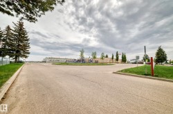 Paved asphalt road with landscaped grass verges and mature evergreen trees - 