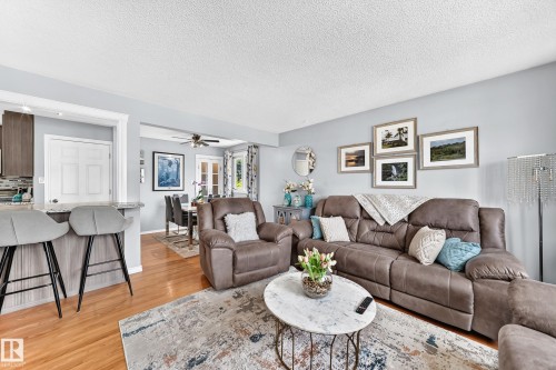 13815 62 Street Nw, Edmonton, AB - Indoor Photo Showing Living Room