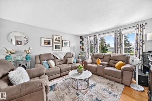 13815 62 Street Nw, Edmonton, AB - Indoor Photo Showing Living Room