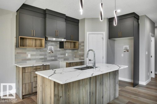 3813 104 Street Nw, Edmonton, AB - Indoor Photo Showing Kitchen With Upgraded Kitchen