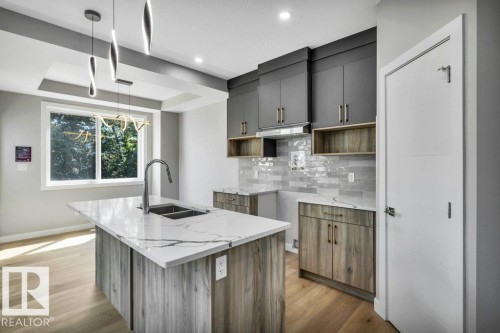 3813 104 Street Nw, Edmonton, AB - Indoor Photo Showing Kitchen With Double Sink With Upgraded Kitchen