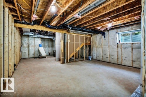 3813 104 Street Nw, Edmonton, AB - Indoor Photo Showing Basement