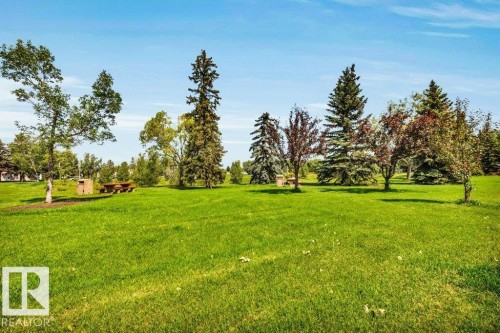 3813 104 Street Nw, Edmonton, AB - Outdoor With View