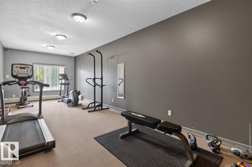 #313 226 Macewan Rd Sw, Edmonton, AB - Indoor Photo Showing Gym Room
