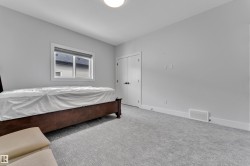Bright room featuring light gray walls, a window with white trim, and light gray patterned carpeting - 