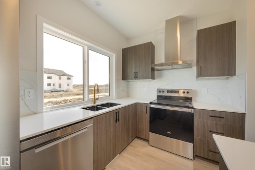 21011 25 Avenue Nw, Edmonton, AB - Indoor Photo Showing Kitchen With Stainless Steel Kitchen With Double Sink With Upgraded Kitchen