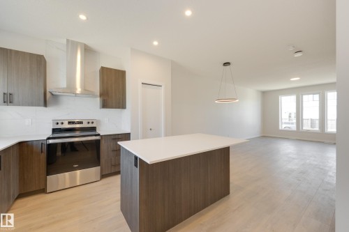 21011 25 Avenue Nw, Edmonton, AB - Indoor Photo Showing Kitchen With Stainless Steel Kitchen With Upgraded Kitchen
