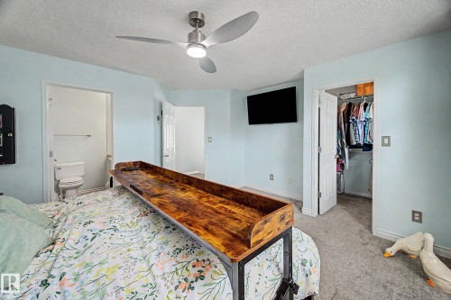 Bedroom featuring light blue walls and neutral carpeting - 9130 100A Avenue Nw, Edmonton, AB - Indoor Photo Showing Bedroom
