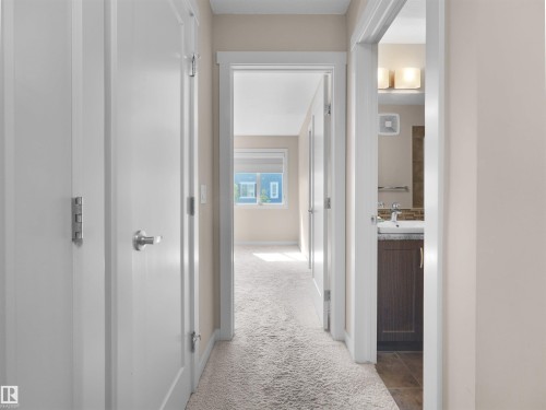 Hallway with light beige walls and plush carpet flooring, featuring white paneled doors with brushed nickel hardware - 4487 Annett Common Sw, Edmonton, AB - Indoor Photo Showing Other Room