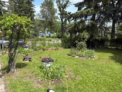 10503 67 Avenue Nw, Edmonton, AB 