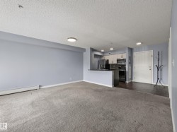 Open-concept living space with light gray carpeting and blue-gray walls - 