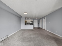 Open-concept living space featuring light gray walls, textured carpet flooring, and white trim - 