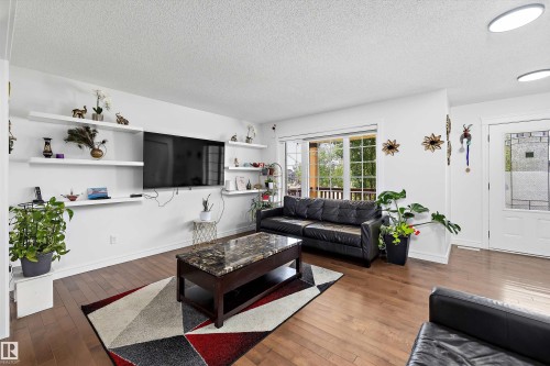 Living room - 2803 12 Street Nw, Edmonton, AB - Indoor Photo Showing Living Room
