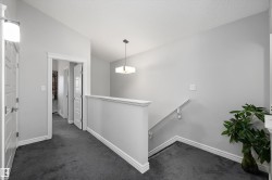 Carpeted hallway and landing with white trim - 