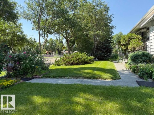 Expansive front yard featuring a manicured lawn, established trees, mature shrubs, and a concrete walkway leading to the entrance - 9908 96A Avenue, Fort Saskatchewan, AB - Outdoor