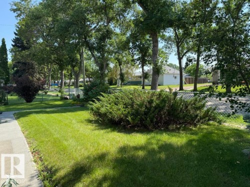 Manicured lawn with mature trees and established shrubbery, complemented by a concrete walkway - 9908 96A Avenue, Fort Saskatchewan, AB - Outdoor