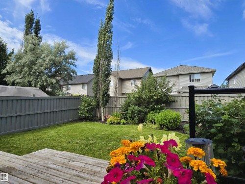 4006 Charles Place Sw, Edmonton, AB - Outdoor With Deck Patio Veranda With Backyard
