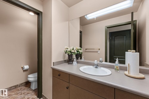#306 6623 172 St Nw, Edmonton, AB - Indoor Photo Showing Bathroom