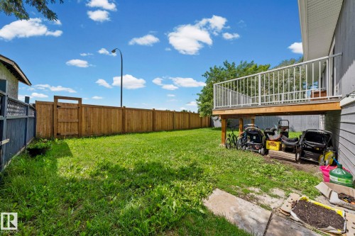 Expansive grass lawn featuring a wood privacy fence with a gate - 4119 18 Avenue Nw, Edmonton, AB - Outdoor