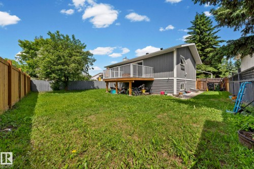 Spacious rear yard featuring a large wooden deck with white railings, grey siding exterior, a privacy fence, and mature perimeter trees - 4119 18 Avenue Nw, Edmonton, AB - Outdoor With Backyard With Exterior