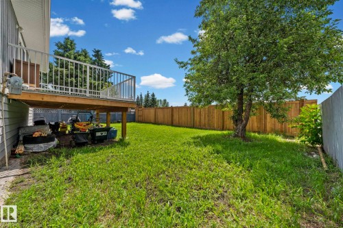 Expansive grassy yard featuring a mature tree, an elevated wood deck with white railings, and a wood privacy fence - 4119 18 Avenue Nw, Edmonton, AB - Outdoor