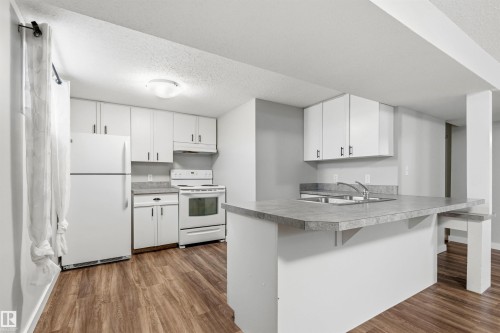7924 89 Avenue Nw, Edmonton, AB - Indoor Photo Showing Kitchen With Double Sink