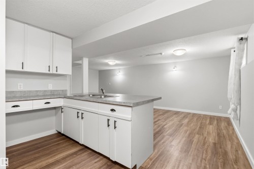 7924 89 Avenue Nw, Edmonton, AB - Indoor Photo Showing Kitchen With Double Sink