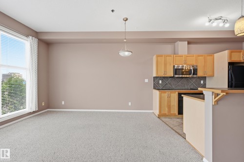 #369 4823 104A St Nw, Edmonton, AB - Indoor Photo Showing Kitchen
