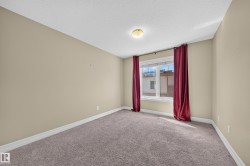 Neutral-toned room with plush carpet flooring and a single window - 