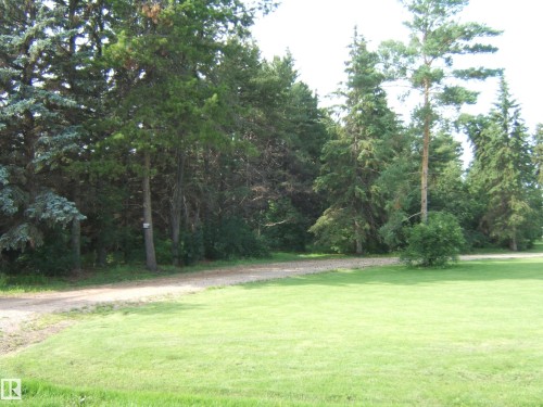 Expansive green lawn bordering a natural wooded area with mature trees and a gravel path - 151042 Twp  Rd 562, Rural Two Hills County, AB - Outdoor