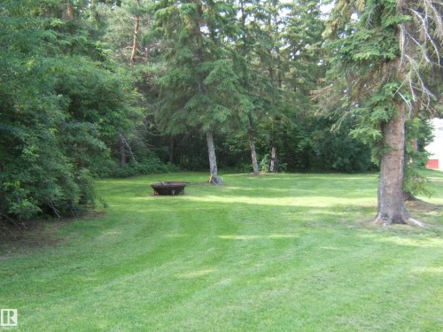 Expansive green lawn surrounded by mature evergreen trees - 151042 Twp  Rd 562, Rural Two Hills County, AB - Outdoor