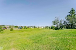 Expansive green space featuring a large grassy hill, mature trees, and a distant playground area with blue structures - 