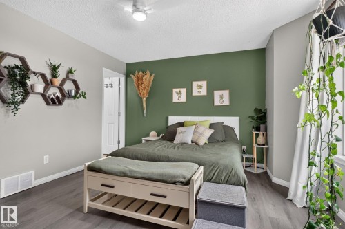 Spacious bedroom featuring wood-finish flooring, a contemporary ceiling fan, and a prominent accent wall - 833 Mcallister Crescent Sw, Edmonton, AB - Indoor Photo Showing Bedroom