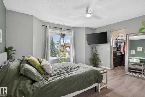 Spacious room featuring multiple windows, a ceiling fan, wood-finish flooring, and a walk-in closet with built-in shelving - 833 Mcallister Crescent Sw, Edmonton, AB - Indoor Photo Showing Bedroom
