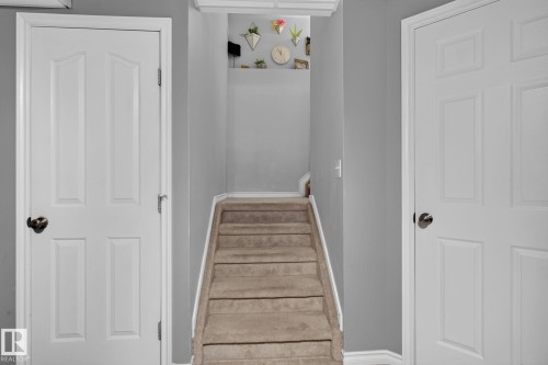 Carpeted staircase with white trim, flanked by paneled doors featuring dark hardware - 833 Mcallister Crescent Sw, Edmonton, AB - Indoor Photo Showing Other Room