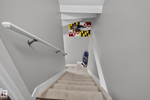 Carpeted staircase with light gray walls, white trim, and a white handrail with metal brackets - 319 Desrochers Boulevard Sw, Edmonton, AB - Indoor Photo Showing Other Room