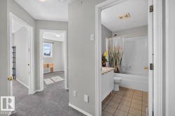 Hallway with gray carpeting, leading to multiple rooms - 