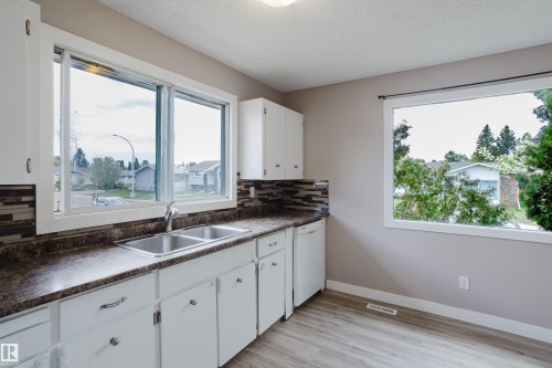 11916 152A Avenue, Edmonton, AB - Indoor Photo Showing Kitchen With Double Sink