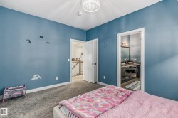 Carpeted room with blue walls, a ceiling-mounted light fixture, and white trim - 