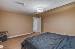 Carpeted room with neutral wall tones and a white ceiling - 