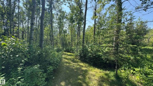 A&B 11031 Hghway 28, Rural St. Paul County, AB - Outdoor With View