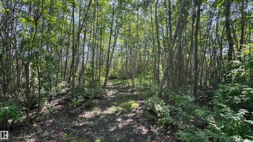A&B 11031 Hghway 28, Rural St. Paul County, AB - Outdoor