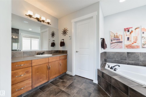 1607 Kerr Road Nw, Edmonton, AB - Indoor Photo Showing Bathroom