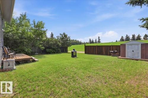 116 Cameron Crescent, Wetaskiwin, AB - Outdoor With Backyard