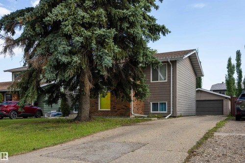 Split-level residence featuring a prominent mature evergreen tree, brown siding, a brick facade, white window frames, and an attached garage with a dark-colored door - 4810 55 Avenue, Beaumont, AB - Outdoor