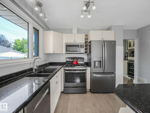 9528 54 Street Nw, Edmonton, AB - Indoor Photo Showing Kitchen With Double Sink