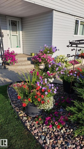 9528 54 Street Nw, Edmonton, AB - Outdoor